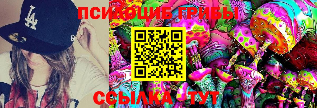 Псилоцибиновые грибы Psilocybe  Вход с VPN  Конаково  купить наркоту  Псилоцибиновые грибы Magic Shrooms 