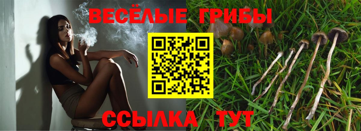 Галлюциногенные грибы Magic Shrooms Конаково